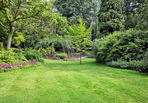 Optimiser l'expérience du jardin à Montagny-les-Buxy